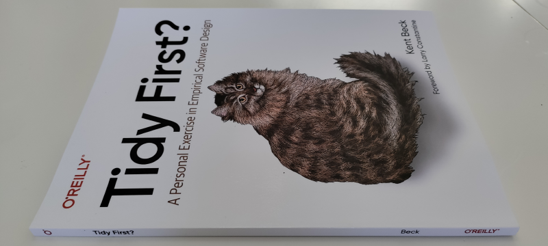Featured image of post Summarizing Tidy First Book